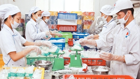 0 xuat khau nha may