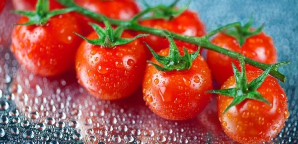 Tomato