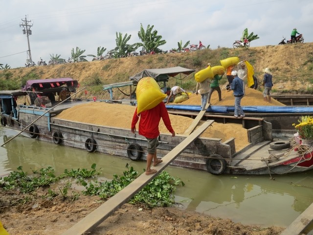 farmer dong thap