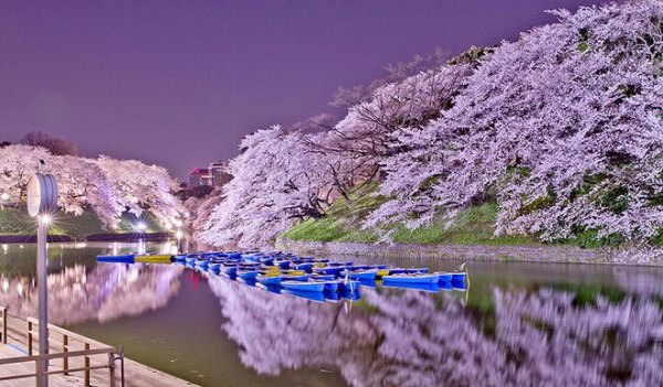 Japan scenery
