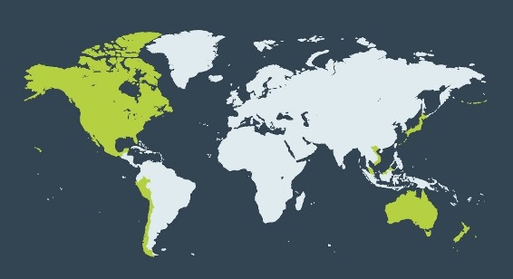 TPP-map