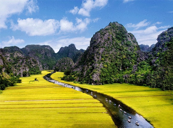 Vietnam