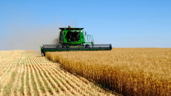 agri sector