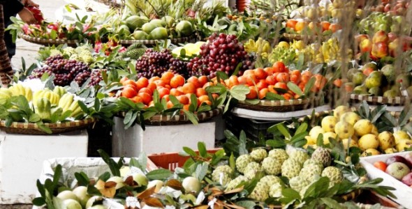 agriculture-16