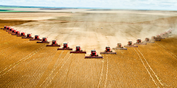 agriculture