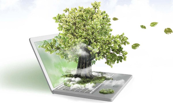 business-tree