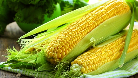 corn