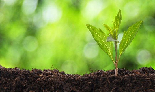 green-investment-1