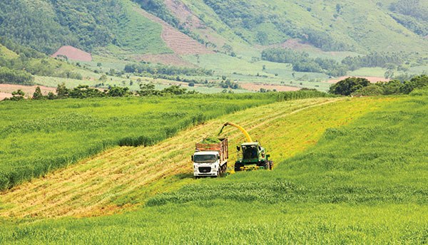 high agri