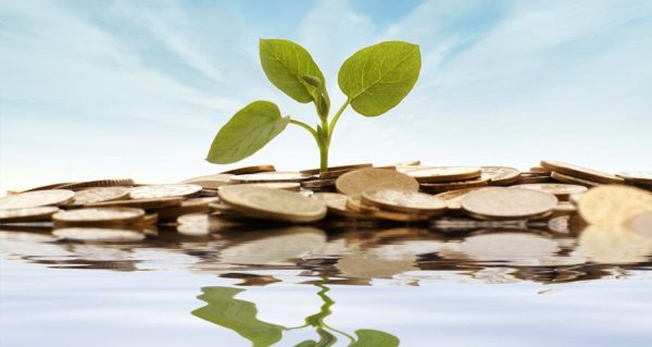 investment-law