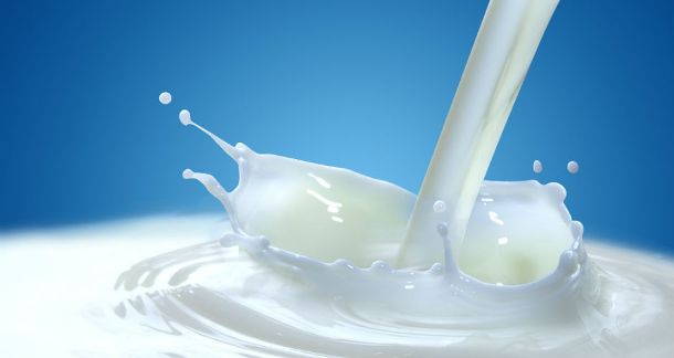 milk-industry