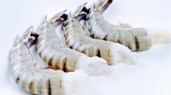 seafood-shrimp-4