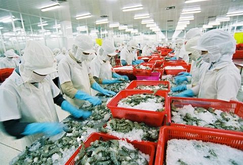 seafood
