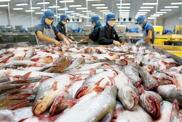 0 0 tra fish