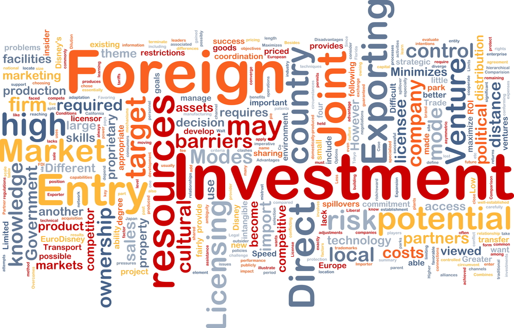 0 FDI Foreign Investment