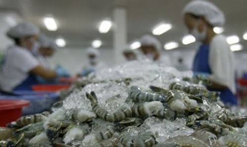 0 Shrimp-exports-to