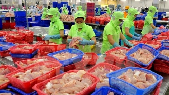 0 export fish