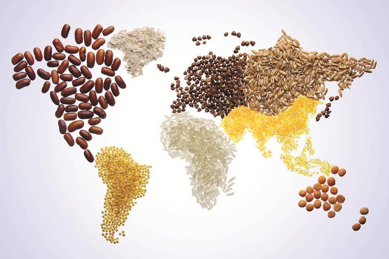 0 food export