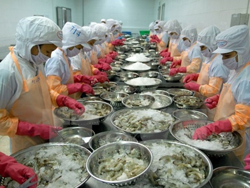 0 hai san viet nam