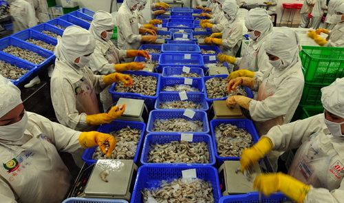 0 shrimp export