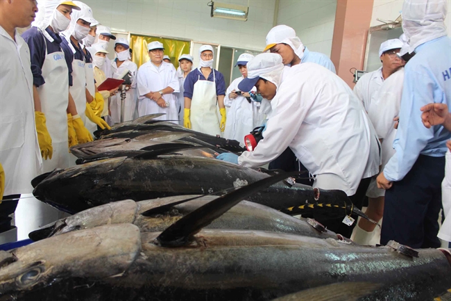 0 tuna exports