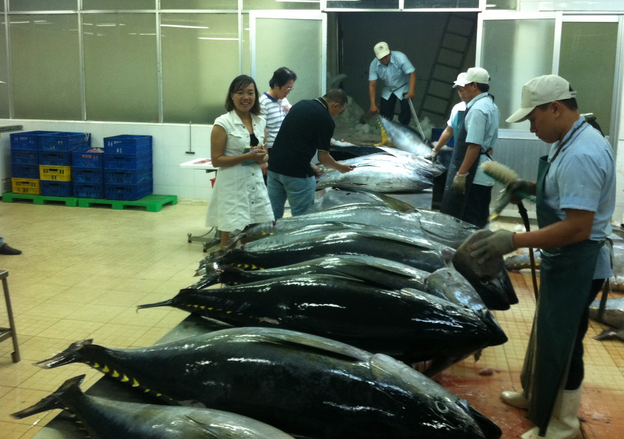 0 tuna vietnam
