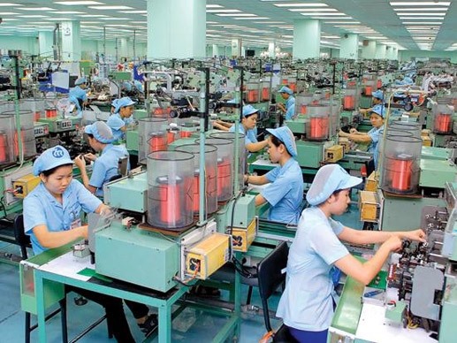 0 vn firm