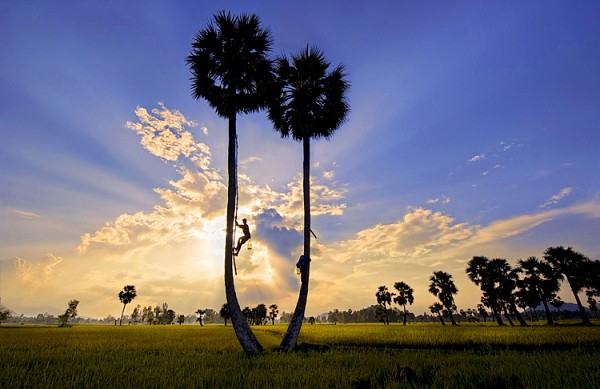 An Giang
