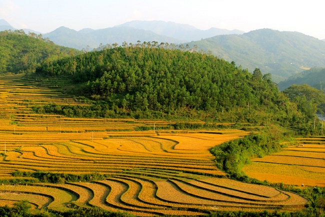 Quảng Ninh NN