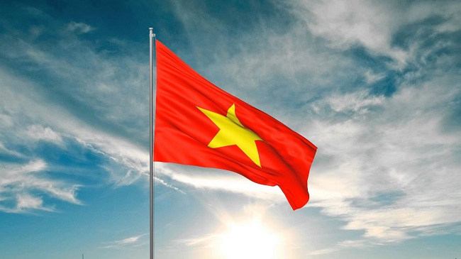 VN3