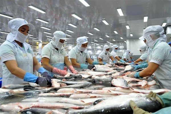 VN attractive to Indian investors