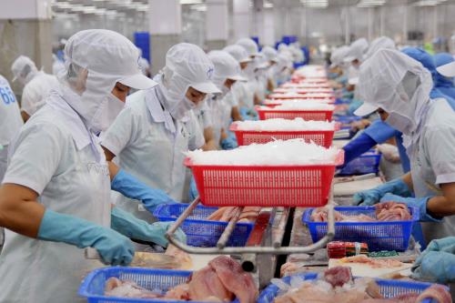 XK thủy sản 2