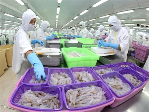 XK thủy sản 3