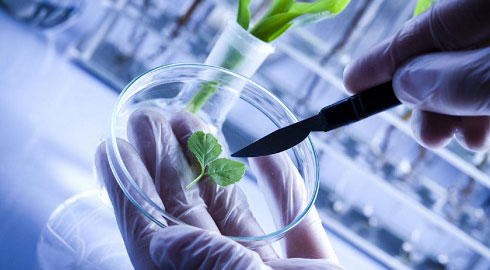 biotech