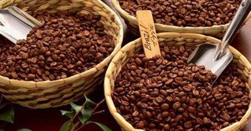 cocoa 12.12