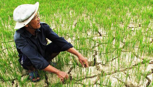 hạn hán miền tây