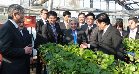 hợp tác NN Nhật-VN