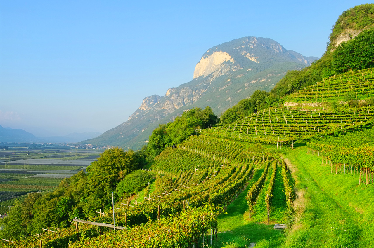 italy