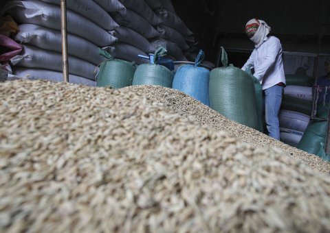 ricevietnam