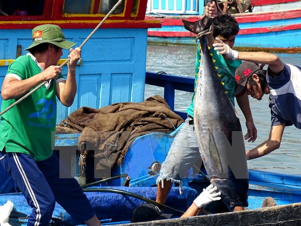 tuna 0806