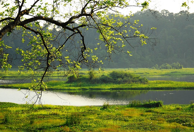 Đồng Nai