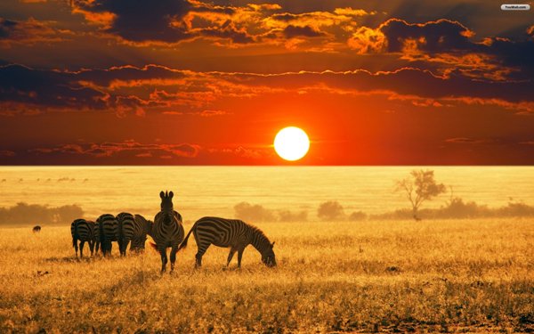 Africa