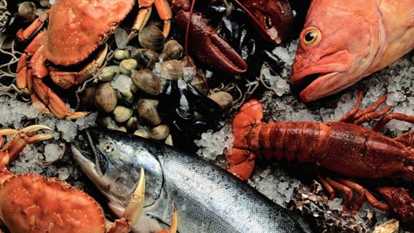 seafood6