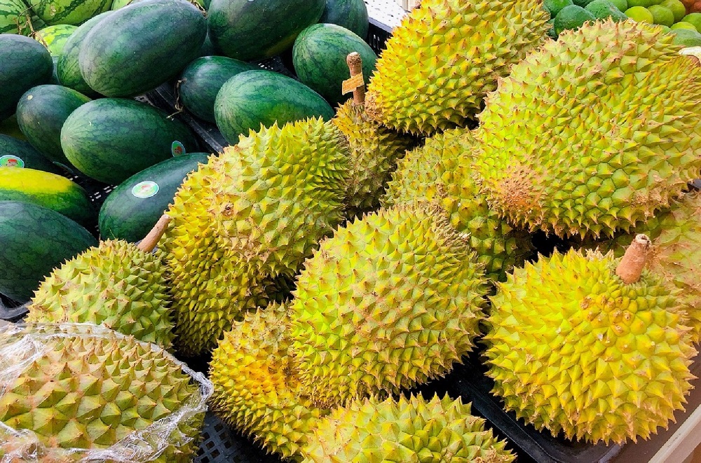 sau rieng 1 1