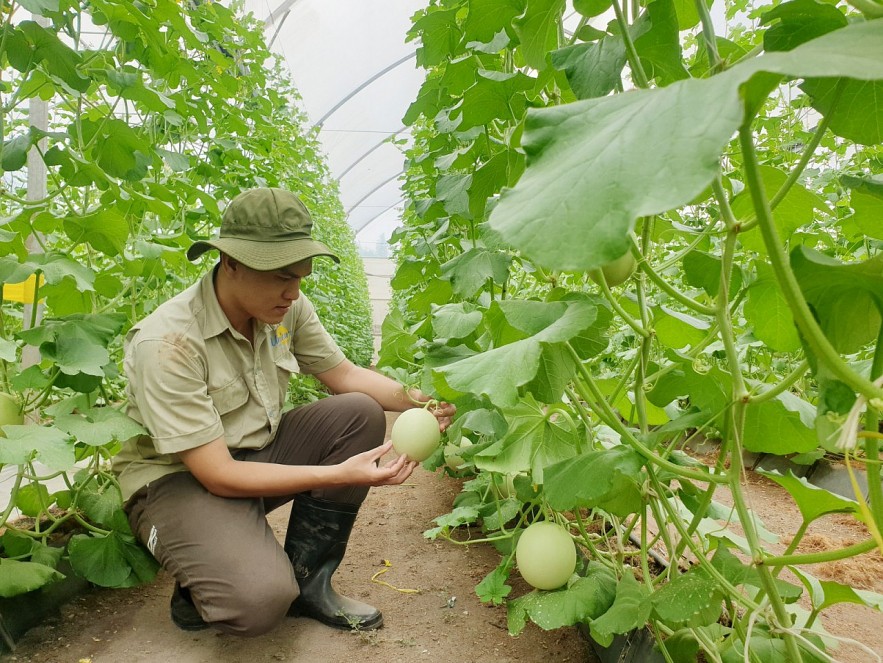 nhieu du dia tang xuat khau nong san vao thi truong eu 20240827144901
