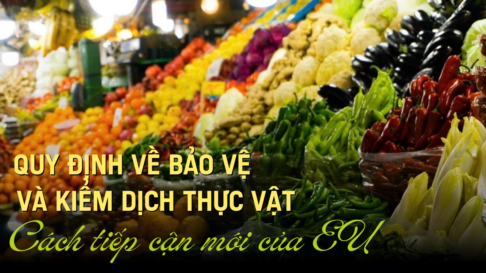 thuc vat 674748b105085