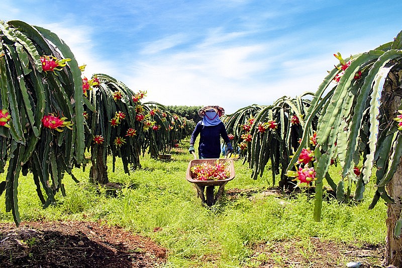 chinh sach nhap khau hang hoa cua thi truong eu thay doi ra sao 20230201220222