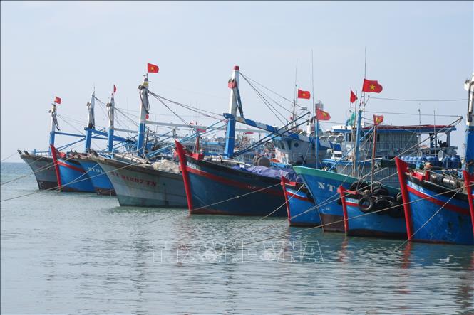 the vang ec