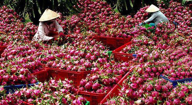 quy dinh moi cua tq ve xk nong san