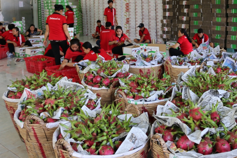 rau qua viet sang anh